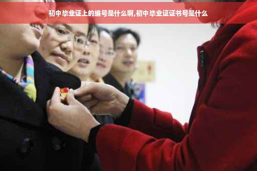 初中毕业证上的编号是什么啊,初中毕业证证书号是什么