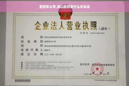 武校怎么考,嵩山武校发什么毕业证