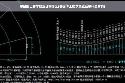 美国博士转学毕业证拿什么(美国博士转学毕业证拿什么材料)