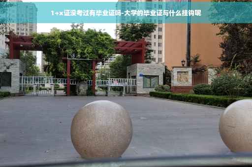 1+x证没考过有毕业证吗-大学的毕业证与什么挂钩呢
