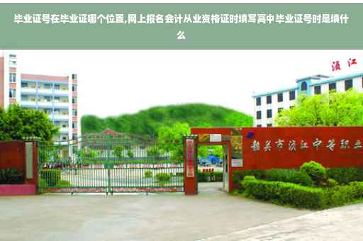 毕业证号在毕业证哪个位置,网上报名会计从业资格证时填写高中毕业证号时是填什么
