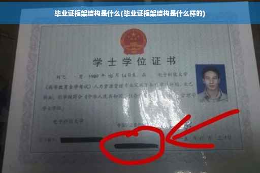 毕业证框架结构是什么(毕业证框架结构是什么样的)