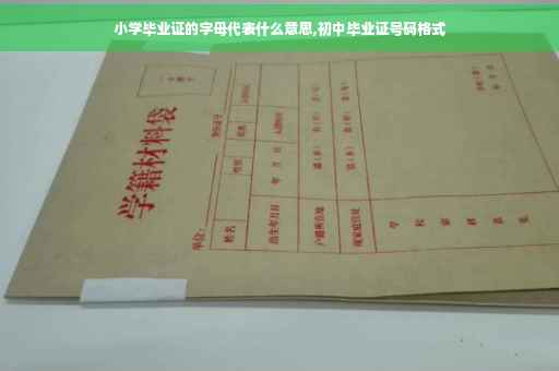 小学毕业证的字母代表什么意思,初中毕业证号码格式