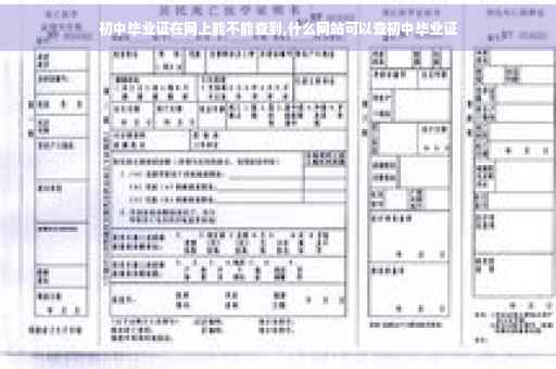 初中毕业证在网上能不能查到,什么网站可以查初中毕业证