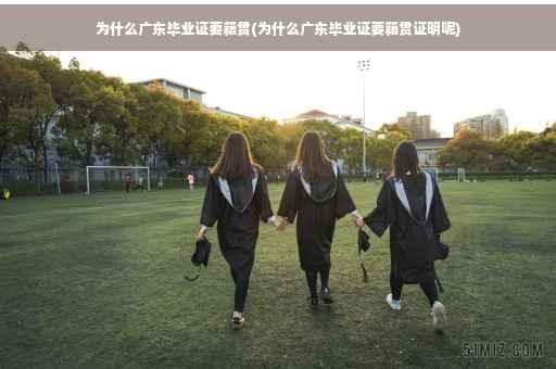 为什么广东毕业证要籍贯(为什么广东毕业证要籍贯证明呢)