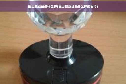 医士毕业证是什么样(医士毕业证是什么样的图片)