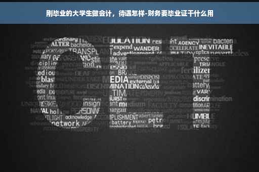 刚毕业的大学生做会计，待遇怎样-财务要毕业证干什么用