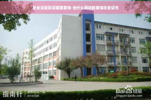 毕业证报到证哪里查询-去什么网站能查询毕业证书