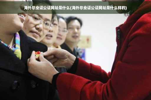海外毕业证公证网址是什么(海外毕业证公证网址是什么样的)