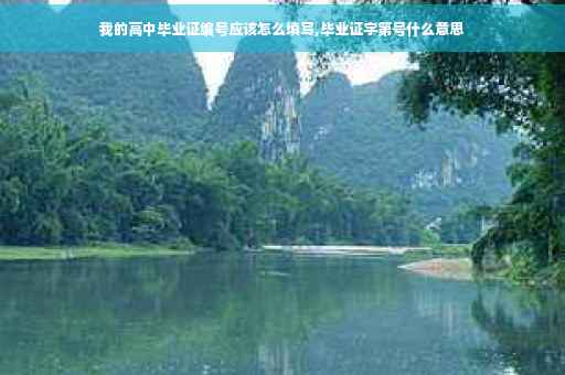 我的高中毕业证编号应该怎么填写,毕业证字第号什么意思