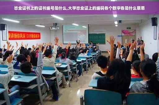 毕业证书上的证书编号是什么,大学毕业证上的编码各个数字各是什么意思