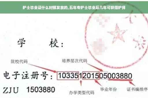 护士毕业证什么时候发放的,五年专护士毕业后几年可获得护师
