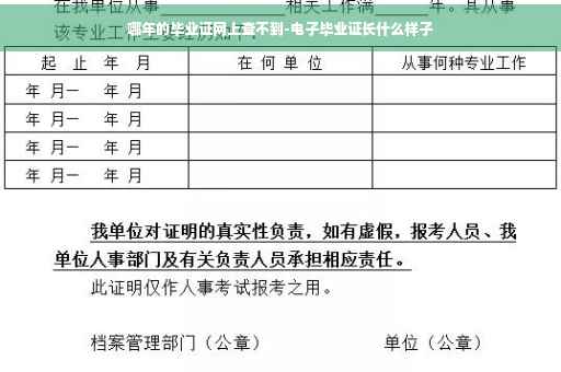 哪年的毕业证网上查不到-电子毕业证长什么样子