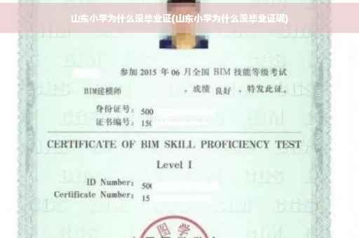 山东小学为什么没毕业证(山东小学为什么没毕业证呢)