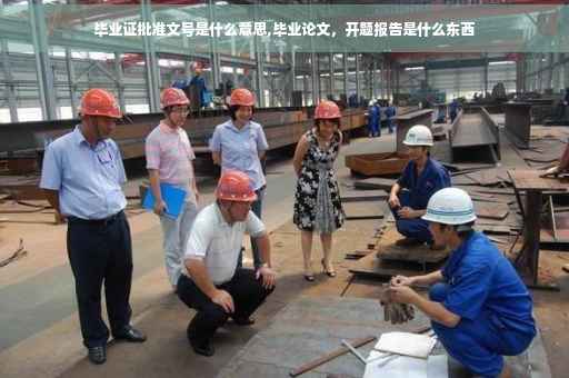 毕业证批准文号是什么意思,毕业论文，开题报告是什么东西