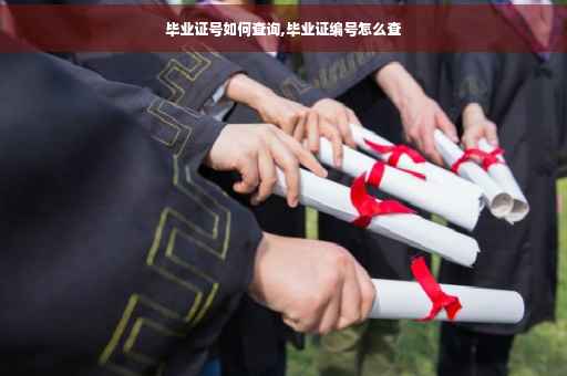 毕业证号如何查询,毕业证编号怎么查