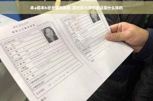本a和本b毕业证的区别-河北的小学毕业证是什么样的