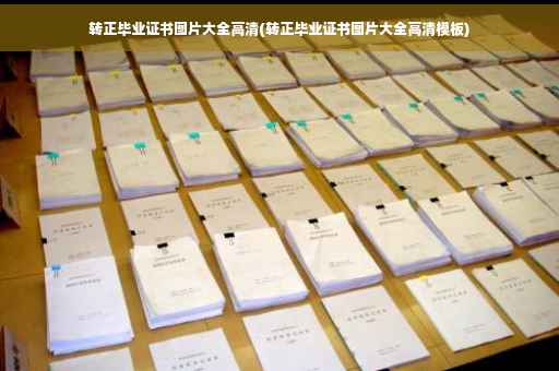 转正毕业证书图片大全高清(转正毕业证书图片大全高清模板)