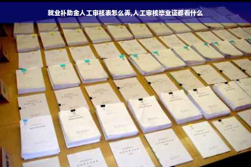 就业补助金人工审核表怎么弄,人工审核毕业证都看什么