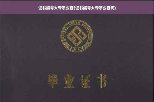 证书编号大专怎么查(证书编号大专怎么查询)