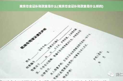 南京毕业证补贴政策是什么(南京毕业证补贴政策是什么样的)