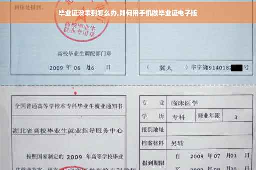 毕业证没拿到怎么办,如何用手机做毕业证电子版