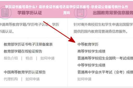 学历证书编号是什么？是毕业证书编号还是学位证书编号-毕业证公章编号有什么作用吗