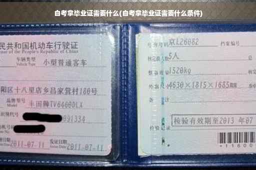 自考拿毕业证需要什么(自考拿毕业证需要什么条件)