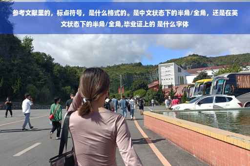 参考文献里的，标点符号，是什么格式的。是中文状态下的半角/全角，还是在英文状态下的半角/全角,毕业证上的 是什么字体