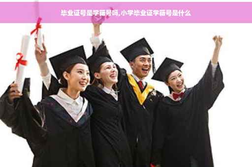 毕业证号是学籍号吗,小学毕业证学籍号是什么