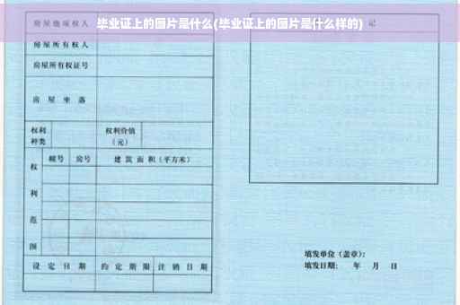 毕业证上的图片是什么(毕业证上的图片是什么样的)