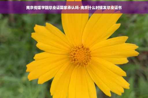 南京传媒学院毕业证国家承认吗-南京什么时候发毕业证书
