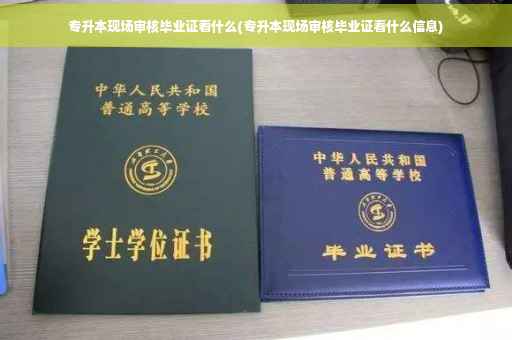 专升本现场审核毕业证看什么(专升本现场审核毕业证看什么信息) 专升本现场审核毕业证看什么(专升本现场审核毕业证看什么信息)