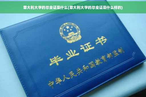 意大利大学的毕业证是什么(意大利大学的毕业证是什么样的)
