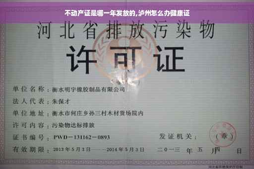 不动产证是哪一年发放的,泸州怎么办健康证