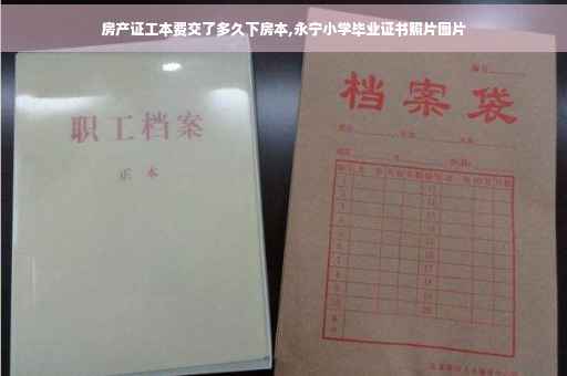 房产证工本费交了多久下房本,永宁小学毕业证书照片图片