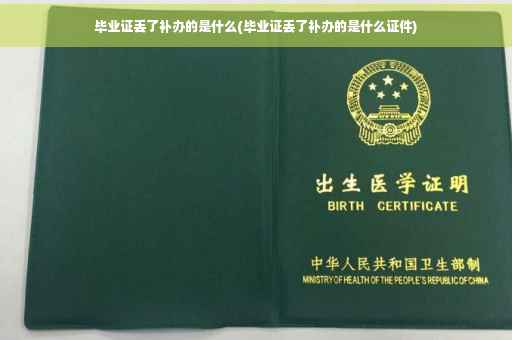 毕业证丢了补办的是什么(毕业证丢了补办的是什么证件)