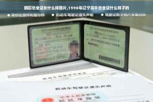 钢印毕业证长什么样图片,1990年辽宁高中毕业证什么样子的