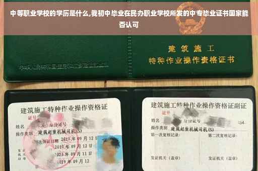 中等职业学校的学历是什么,我初中毕业在民办职业学校所发的中专毕业证书国家能否认可
