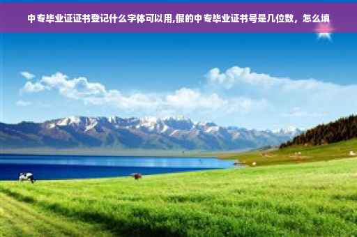 中专毕业证证书登记什么字体可以用,假的中专毕业证书号是几位数，怎么填