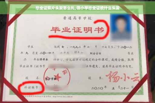 毕业证照片头发怎么扎,领小学毕业证梳什么头发