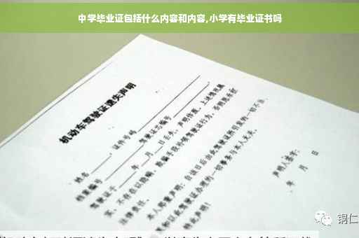 中学毕业证包括什么内容和内容,小学有毕业证书吗