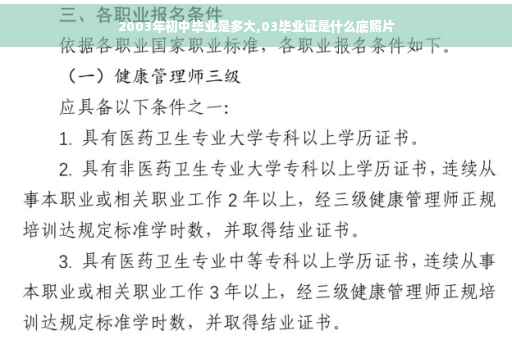 2003年初中毕业是多大,03毕业证是什么底照片
