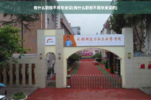 有什么职校不用毕业证(有什么职校不用毕业证的)