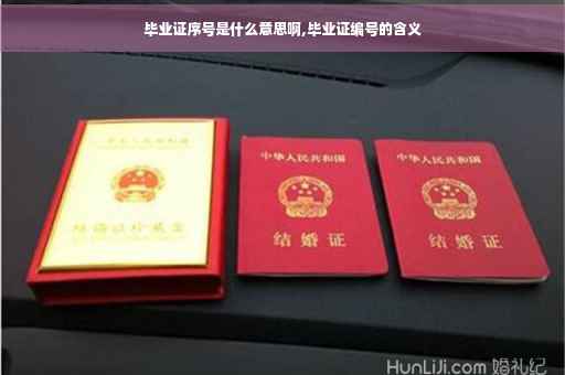 毕业证序号是什么意思啊,毕业证编号的含义