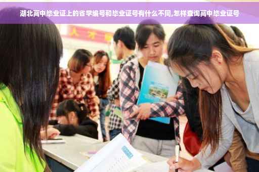 湖北高中毕业证上的省学编号和毕业证号有什么不同,怎样查询高中毕业证号