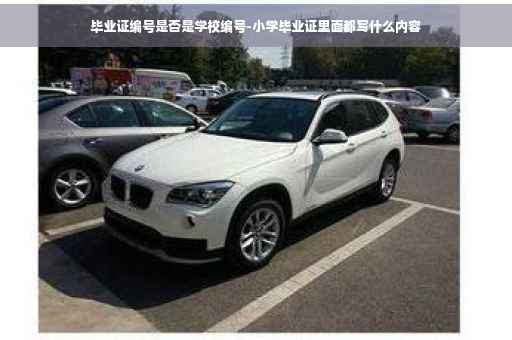 毕业证编号是否是学校编号-小学毕业证里面都写什么内容