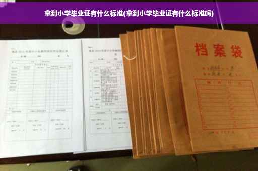 拿到小学毕业证有什么标准(拿到小学毕业证有什么标准吗)