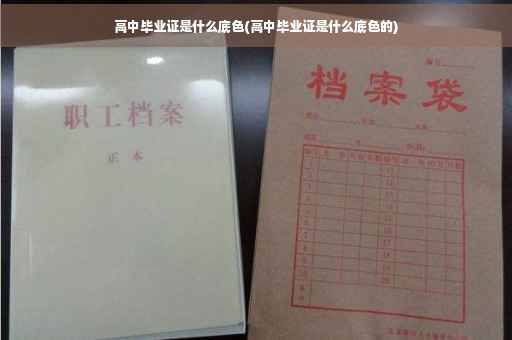 高中毕业证是什么底色(高中毕业证是什么底色的)