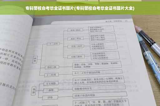 专科警校自考毕业证书图片(专科警校自考毕业证书图片大全)